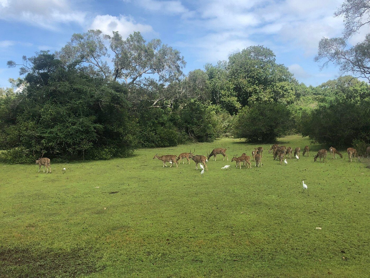 Wilpattu National Park