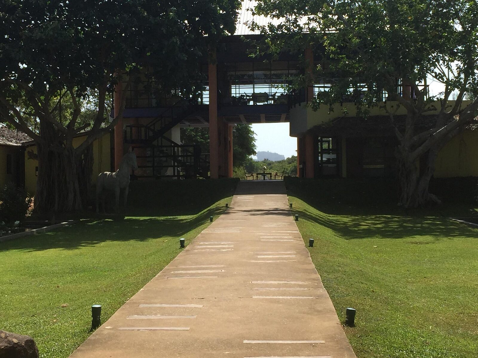 Ayugiri Wellness Resort